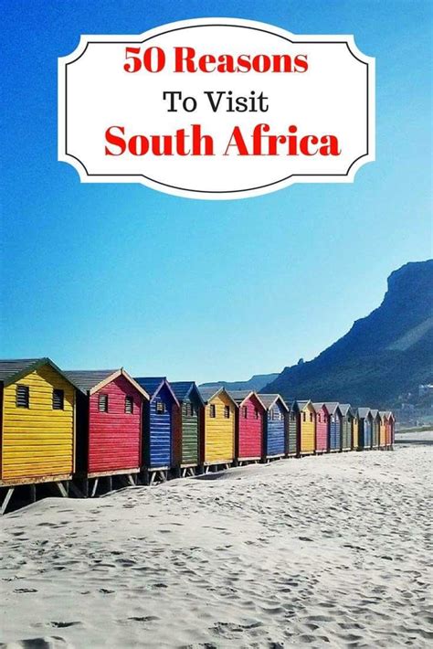 50 Reasons To Visit South Africa At Least Once Africa Itinerary Africa