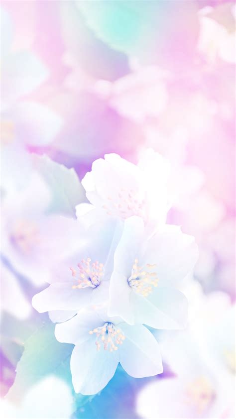 Spring Flowers Pastel Color Wallpapers Wallpaper Cave