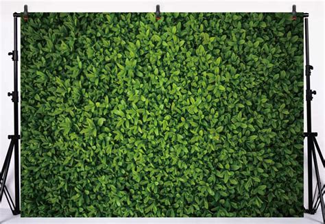 Buy Allenjoy 7x5ft Fabric Green Leaves Wall Backdrop For Photography