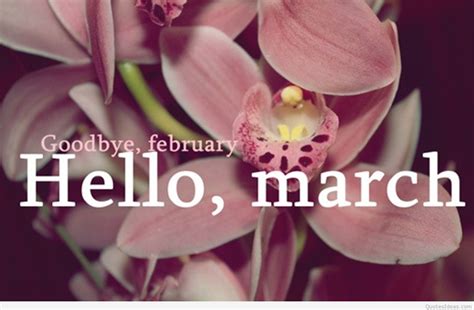 Goodbye February Hello March Pictures Photos And Images For