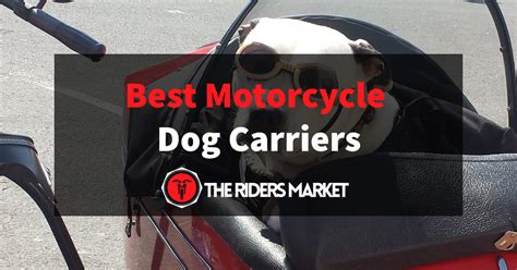 In this archero video we will be going over the best pets from worst to best! 5 Best Motorcycle Dog Carrier (July 2020): Large & Small ...