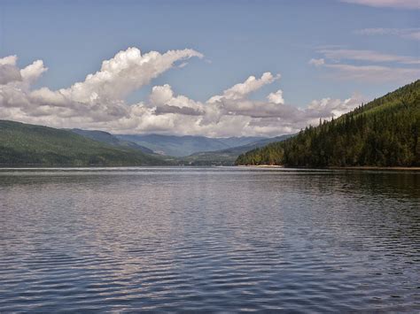 Picking Posies Mabel Lake Provincial Park