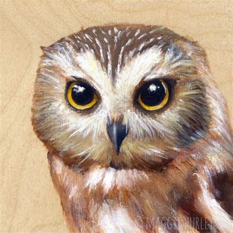 Northern Saw Whet Owl Bird Art Print On Wood Maggie Hurley Bird