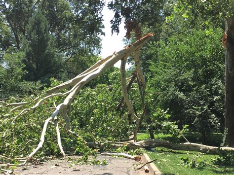 Strong Storms Knock Out Power Down Trees Across Kansas City Metro Kcur