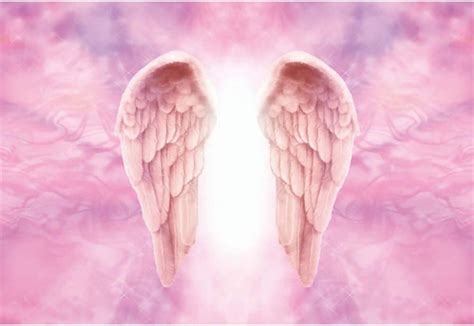 Dorcev Polyester Pink Angel Wings Backdrop Girls Birthday