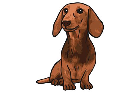 Dachshund Dog Cute Cartoon Sticker Illustration Par Mvmet · Creative