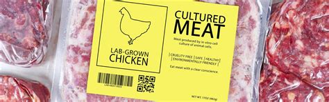 Lab Grown Chicken And A Shift In Meats Environmental Impact
