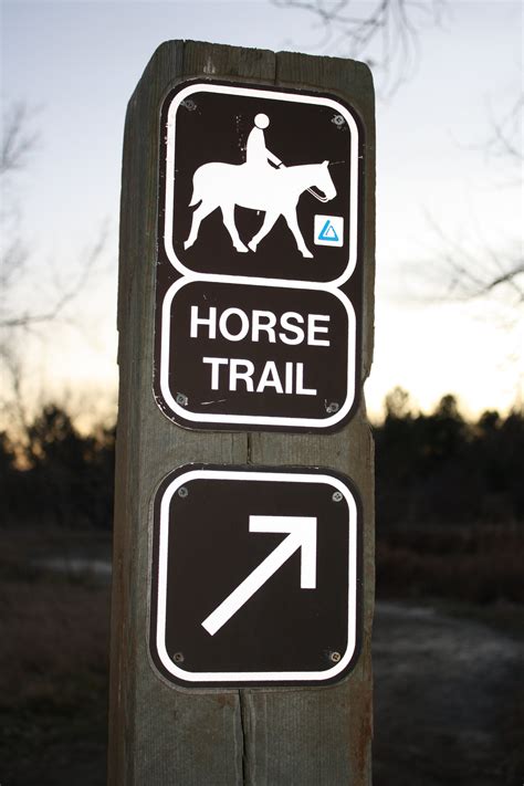 Horse Road Signs