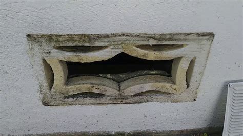 Animal care & pest control. Quick and Easy Crawl Space Vent Repair To Prevent Pests ...