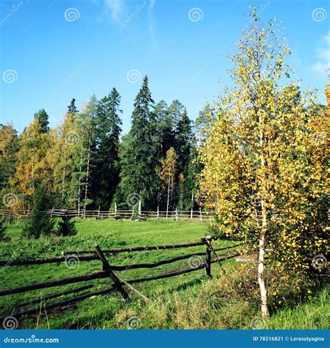 Old Wooden Fence Around A Horse Grazing Pasture Stock Image Image Of