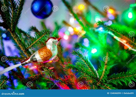 Bird Goldfinch Old Toy Decoration For Christmas Tree Stock Image