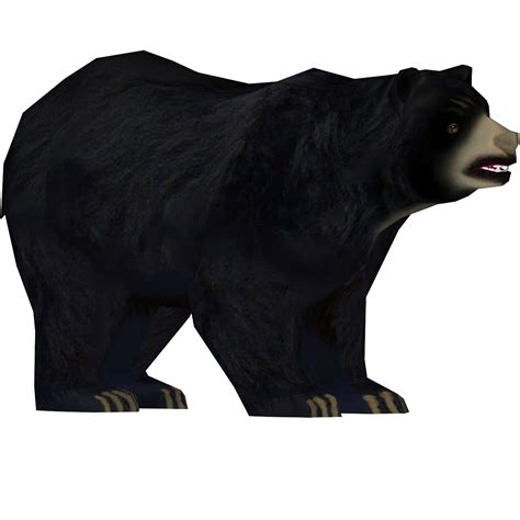 American Black Bear Png Picture Png Mart