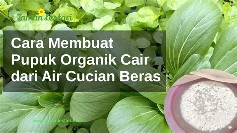 Tunggu sampai karon di dalam kendil bisa di lepas. Cara Membuat Pupuk Organik Cair dari Air Cucian Beras ...