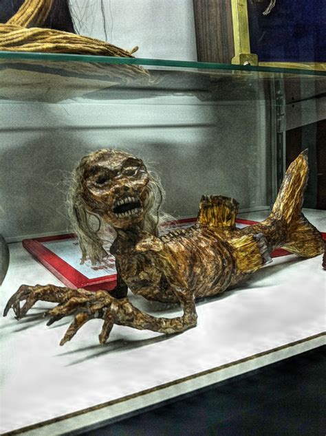 Fiji Mermaid At Cw Parker Carousel Museum Weird Creatures Real Mermaids Found Alive Real