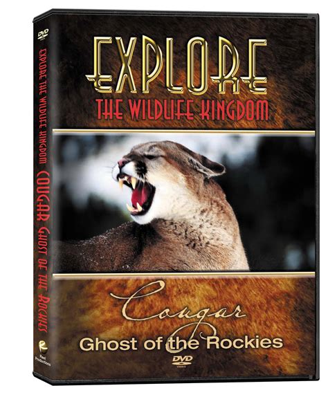 Explore The Wildlife Kingdom Cougar Ghost Of The Rockies