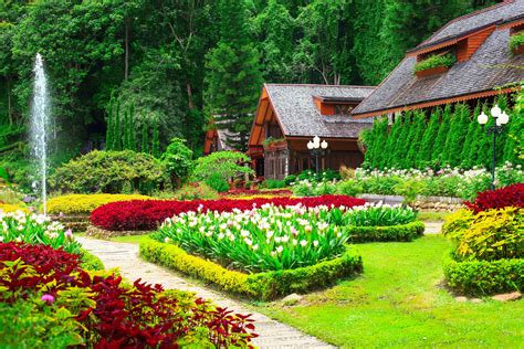 Gardens Tulips Houses Shrubs Grass Nature Wallpaper 4500x3000