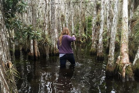 Florida Everglades In Defense Of Swamps And How You Can Visit