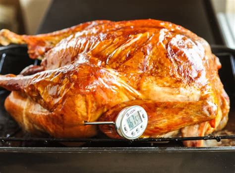 How To Check A Turkey S Temperature For Doneness The Kitchn