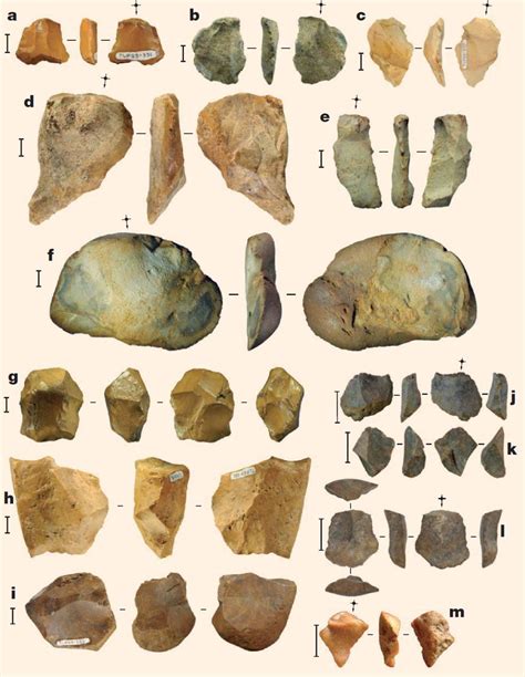 118000 Year Old Stone Tools Unearthed On Indonesian Island Of Sulawesi