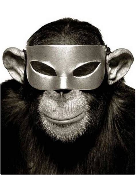 Albert Watson Monkey Series Monkey With Mask For Sale At 1stdibs