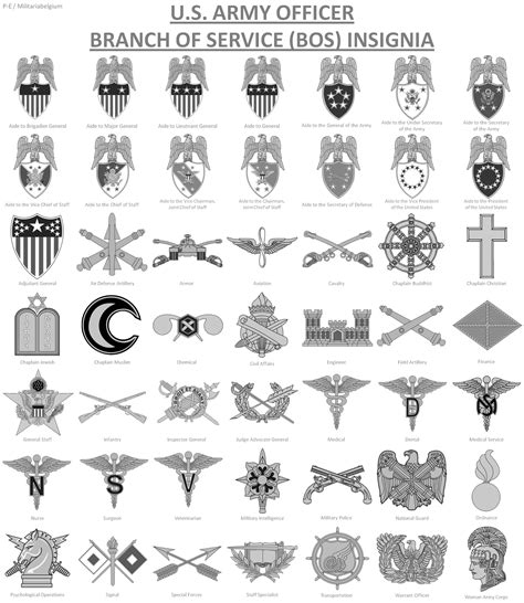Us Army Badges Army Badge Branch Of Service