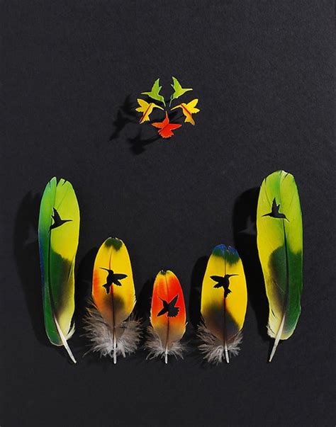 ¡increíble Un Artista Realizó Pequeños Dioramas Con Plumas De Aves