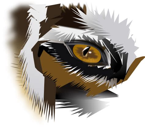 Eye Of The Tiger Clip Art At Vector Clip Art Online