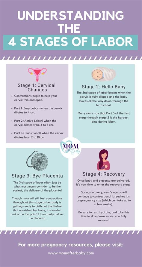 The Four Stages Of Labor What To Expect Midwifery Student Stages