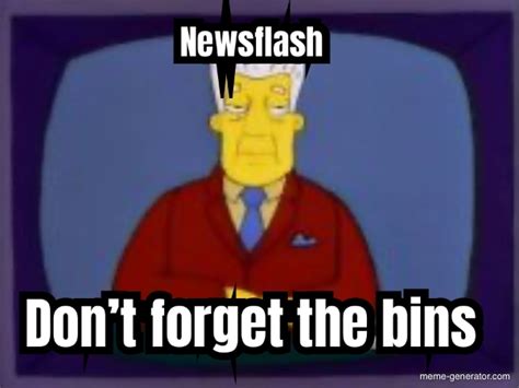 Newsflash Dont Forget The Bins Meme Generator