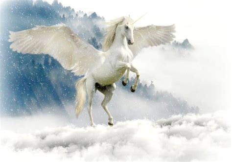 Unicorn Symbolism 11 Spiritual Meanings Of Unicorn