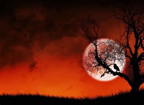 Download these sad wallpapers and see how one feels when they are going through sufferings in life. 30+ Best Sad Pictures And Wallpapers - Style Arena