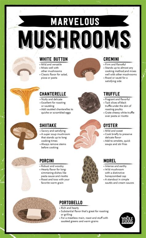15 How To Use Each Variety Of Mushroom 42 Cheat Sheet Infographics