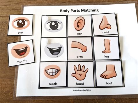 Toddler Busy Book Page Body Parts Matching Toddler Learning Etsy Uk