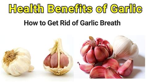 Health Benefits Of Garlic How To Get Garlic Maximum Benefits Youtube