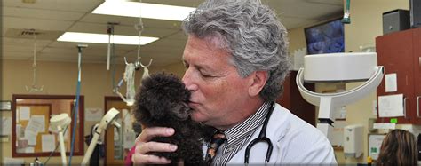 Our 24/7 pet emergency hospital and staff are fully dedicated to enhancing the unique relationship between humans and companion animals by providing the best care possible. The Animal Emergency and Critical Care Veterinary Hospital ...