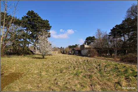 Botnets can be hired cheaply, hacking software is readily available. Report - - Government animal testing facility, Houghton ...