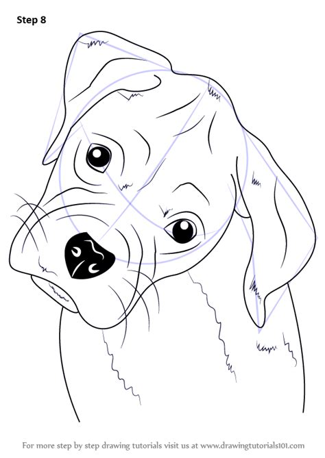 Let's look at the example of the dog's paws. Learn How to Draw Boxer Puppy Face (Farm Animals) Step by ...