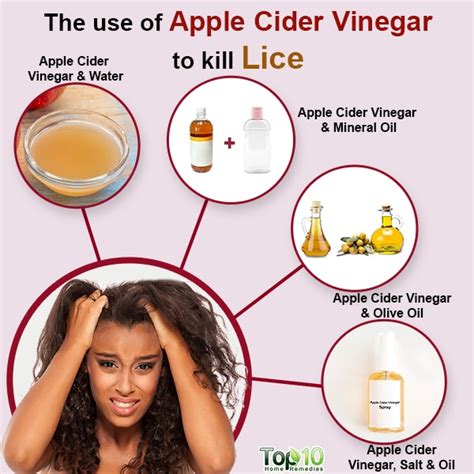 The Use Of Apple Cider Vinegar To Kill Lice Top 10 Home Remedies