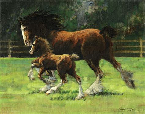 Clydesdale Mare And Colt Painting By Don Langeneckert Pixels