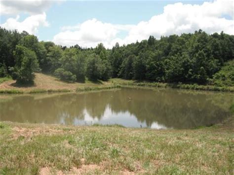 South Carolina Pond Land For Sale Pond Property For Sale