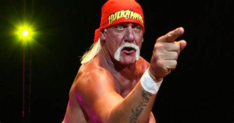 Hulk Hogan You Hot Sex Picture
