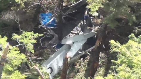 Bc Plane Crash Survivor Were Going Down Cbc News