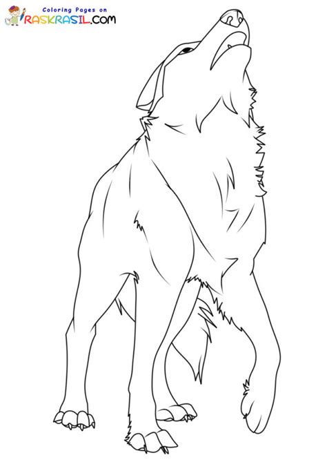 Discover More Than 74 Anime Wolves Coloring Pages Best Induhocakina