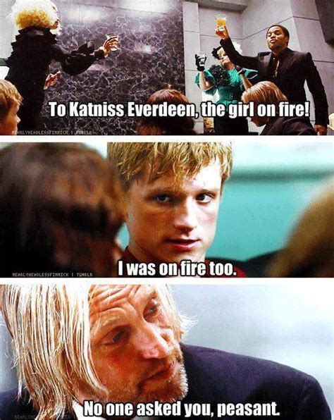 hunger games fans we have some great most hilarious and funniest memes from hunger games that