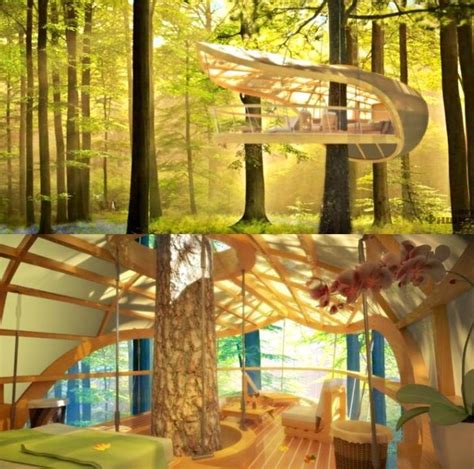 Eterra Eco Resort Tree House Designs Tiny House Design Amazing