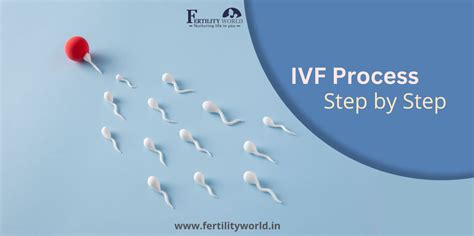 Ivf Process Step By Step Fertilityworld