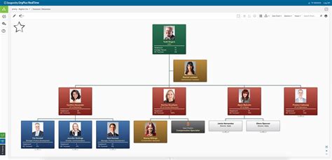 Small Business Organizational Charts For Managers Orgplus