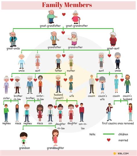 Family Relationship Chart: Useful Family Tree Chart with Family Words