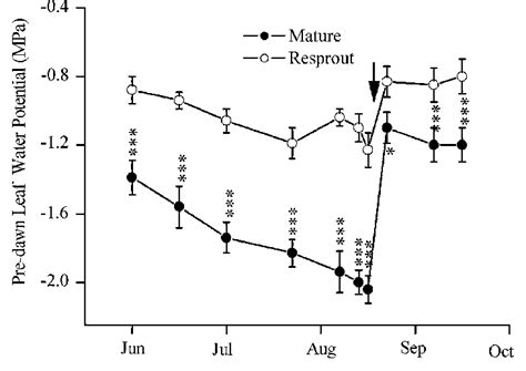 Seasonal Pattern Of Pre Dawn Leaf Water Potential Of Resprouts And