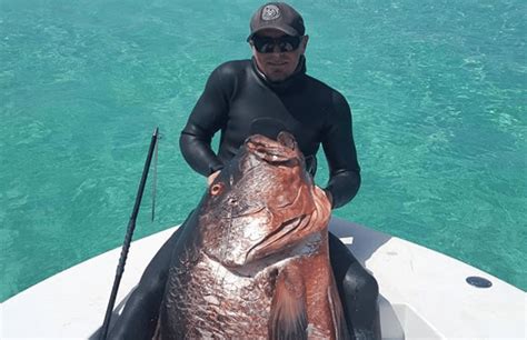 Luke Maillis Sets Record For The Largest Cubera Snapper Ever Speared